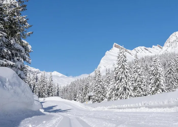 Orman Evi Brocco & Posta *